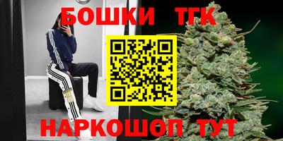 крисы Заводоуковск