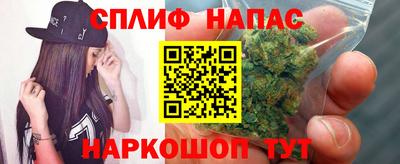 крисы Заводоуковск