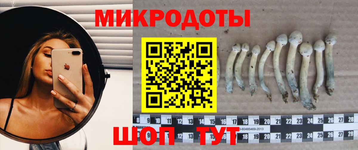Псилоцибиновые грибы MAGIC MUSHROOMS  Вход с VPN  Курчатов 
